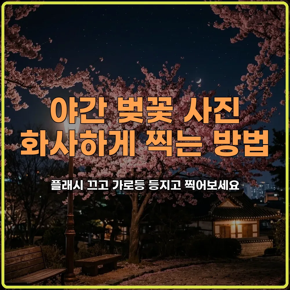 야간 벚꽃 사진