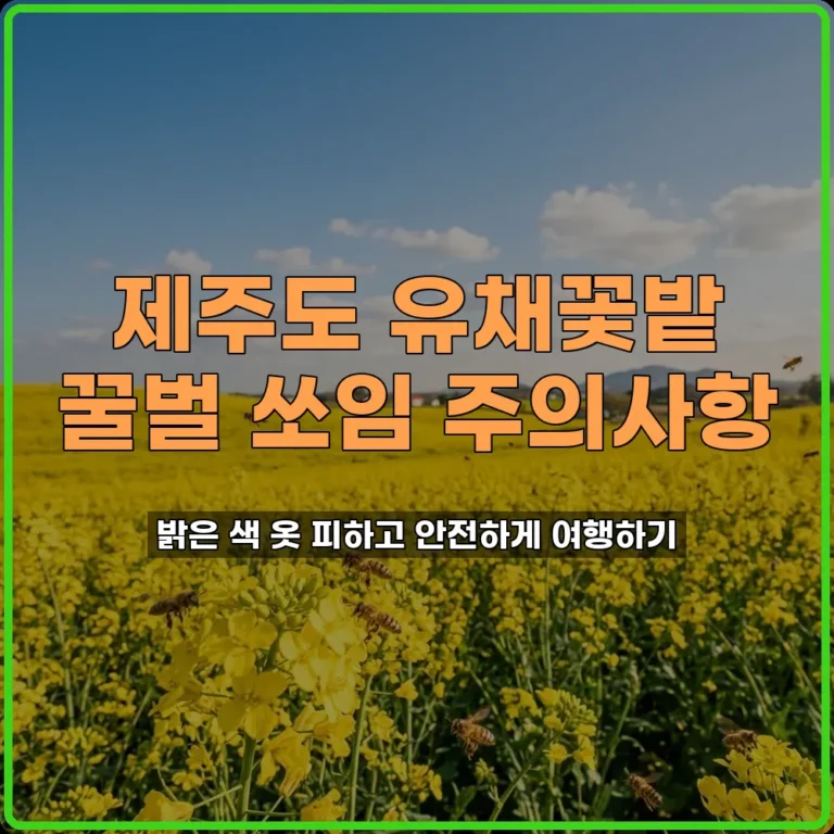 제주도 유채꽃밭 꿀벌 쏘임 주의