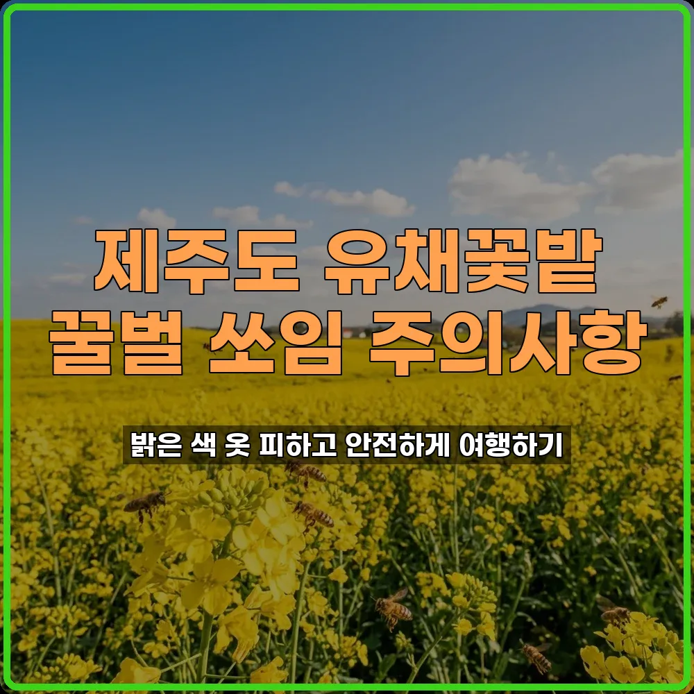 제주도 유채꽃밭 꿀벌 쏘임 주의